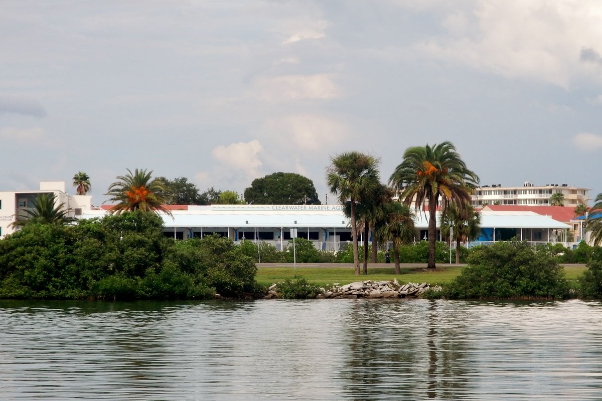 Clearwater Marine Aquarium