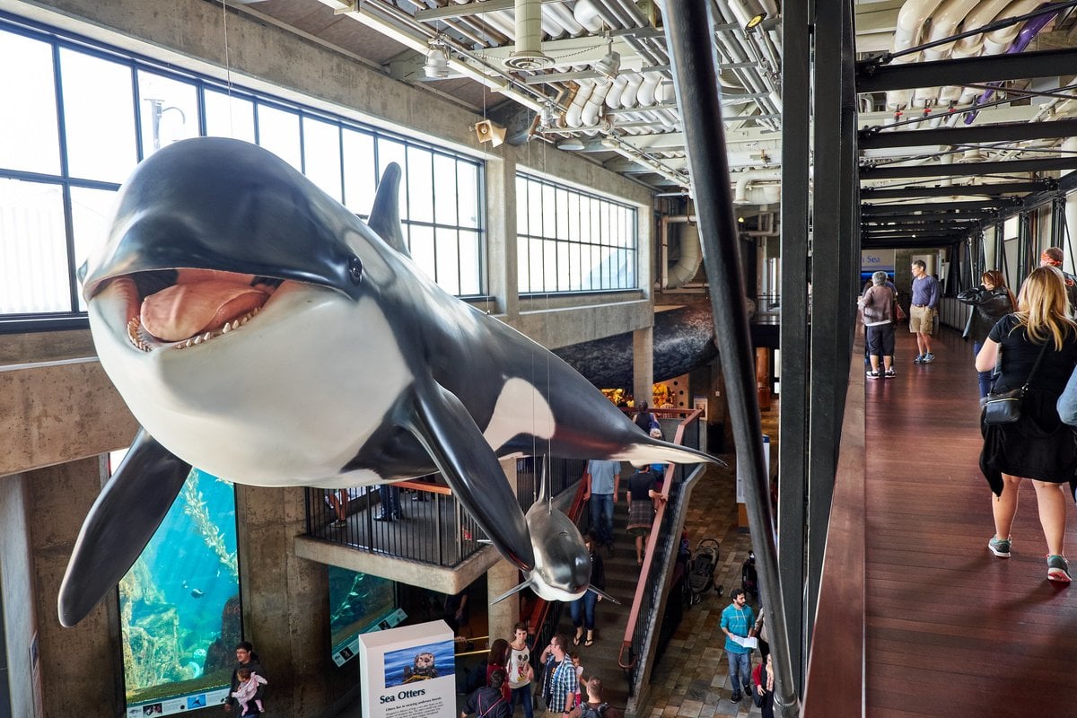 Monterey Bay Aquarium