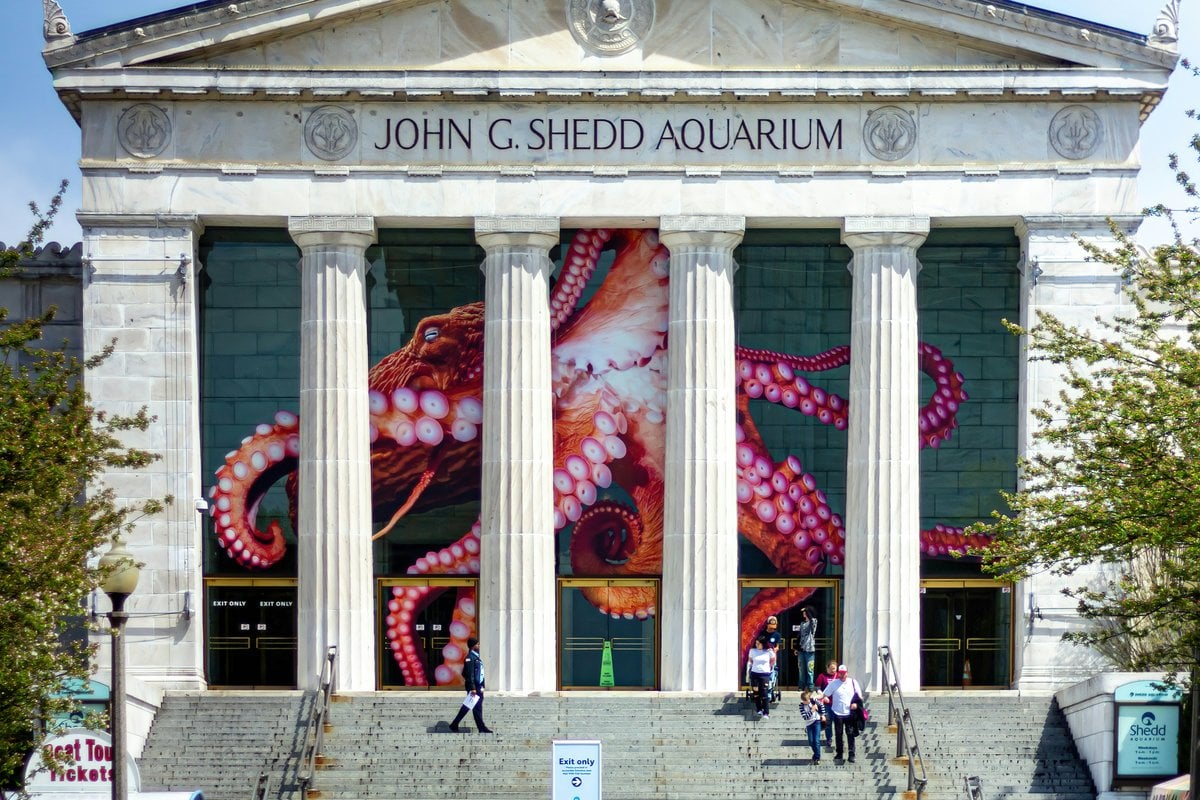 Shedd Aquarium