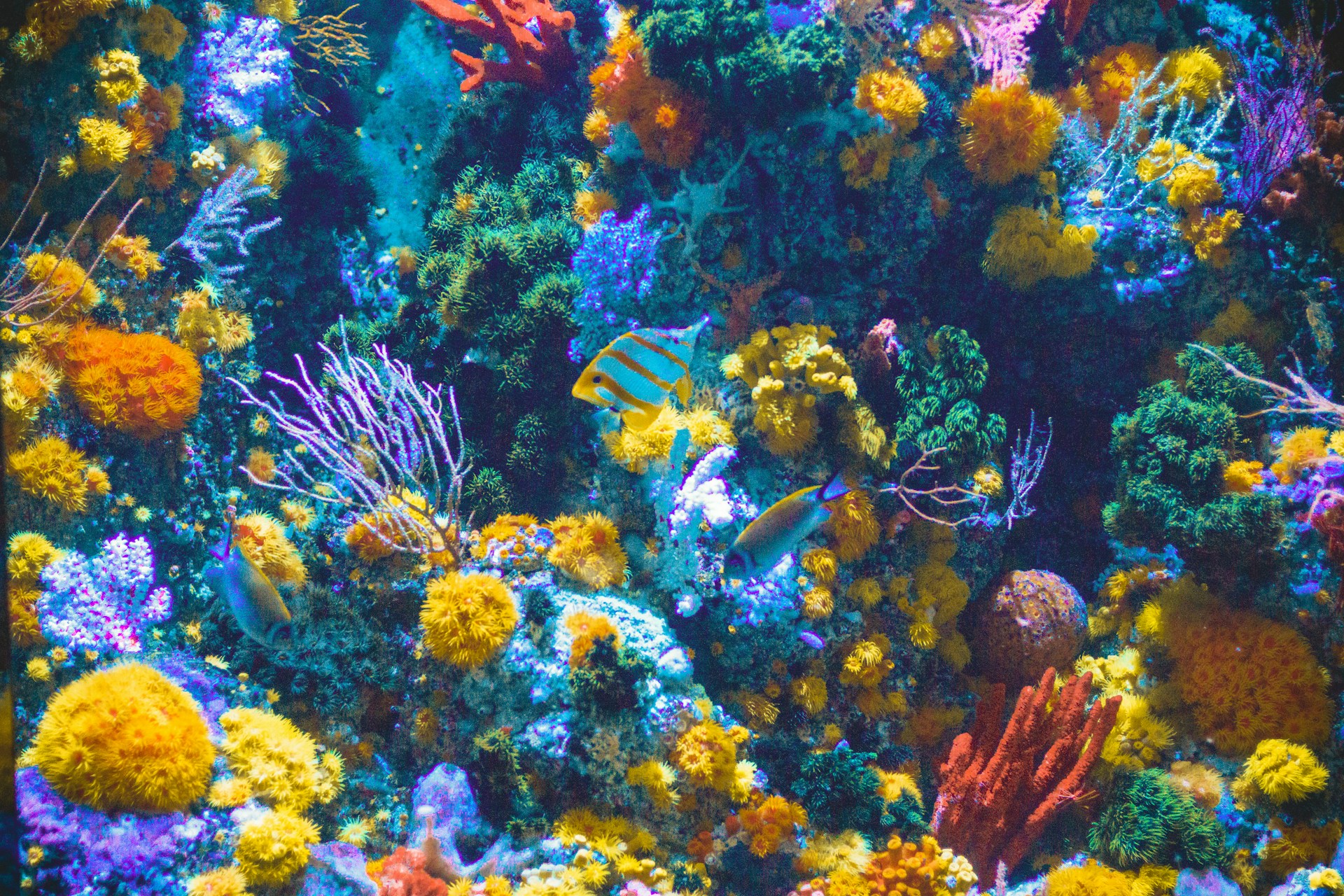Miami Seaquarium