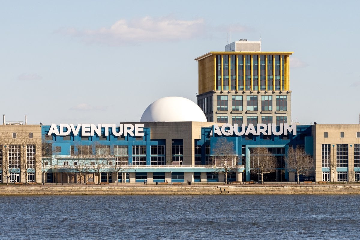 Adventure Aquarium
