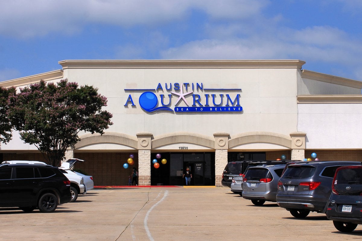 Austin Aquarium