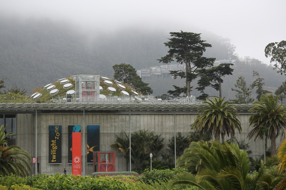 California Academy of Sciences