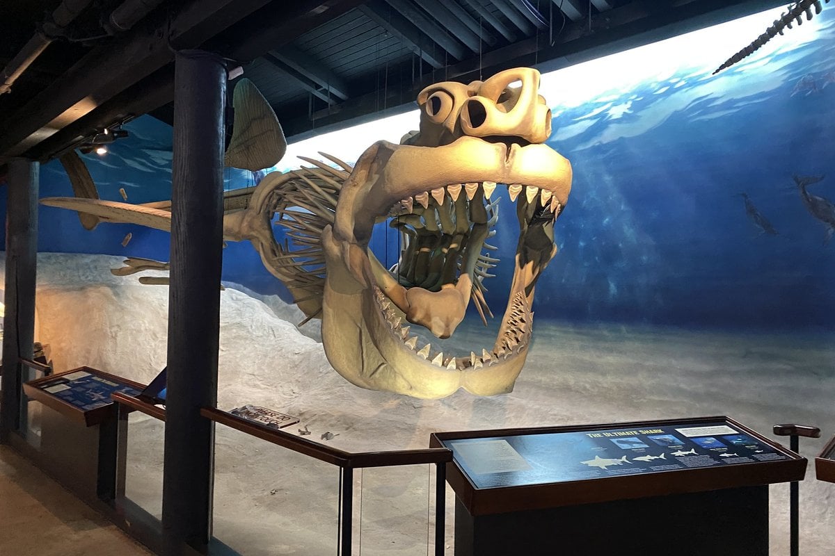 Calvert Marine Museum