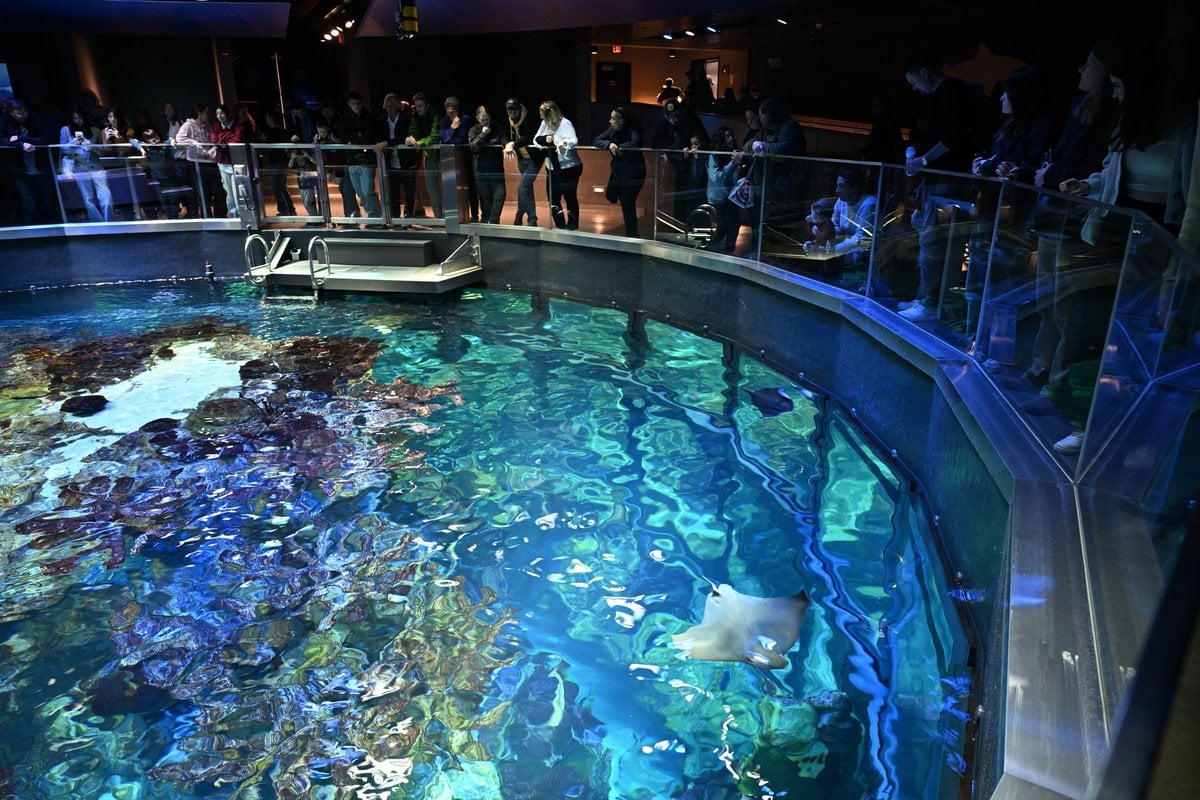 New England Aquarium