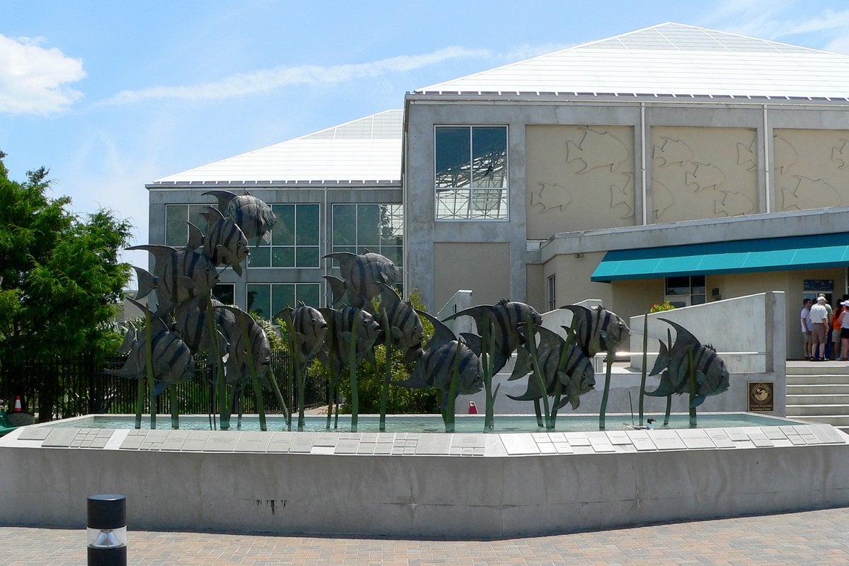 North Carolina Aquariums
