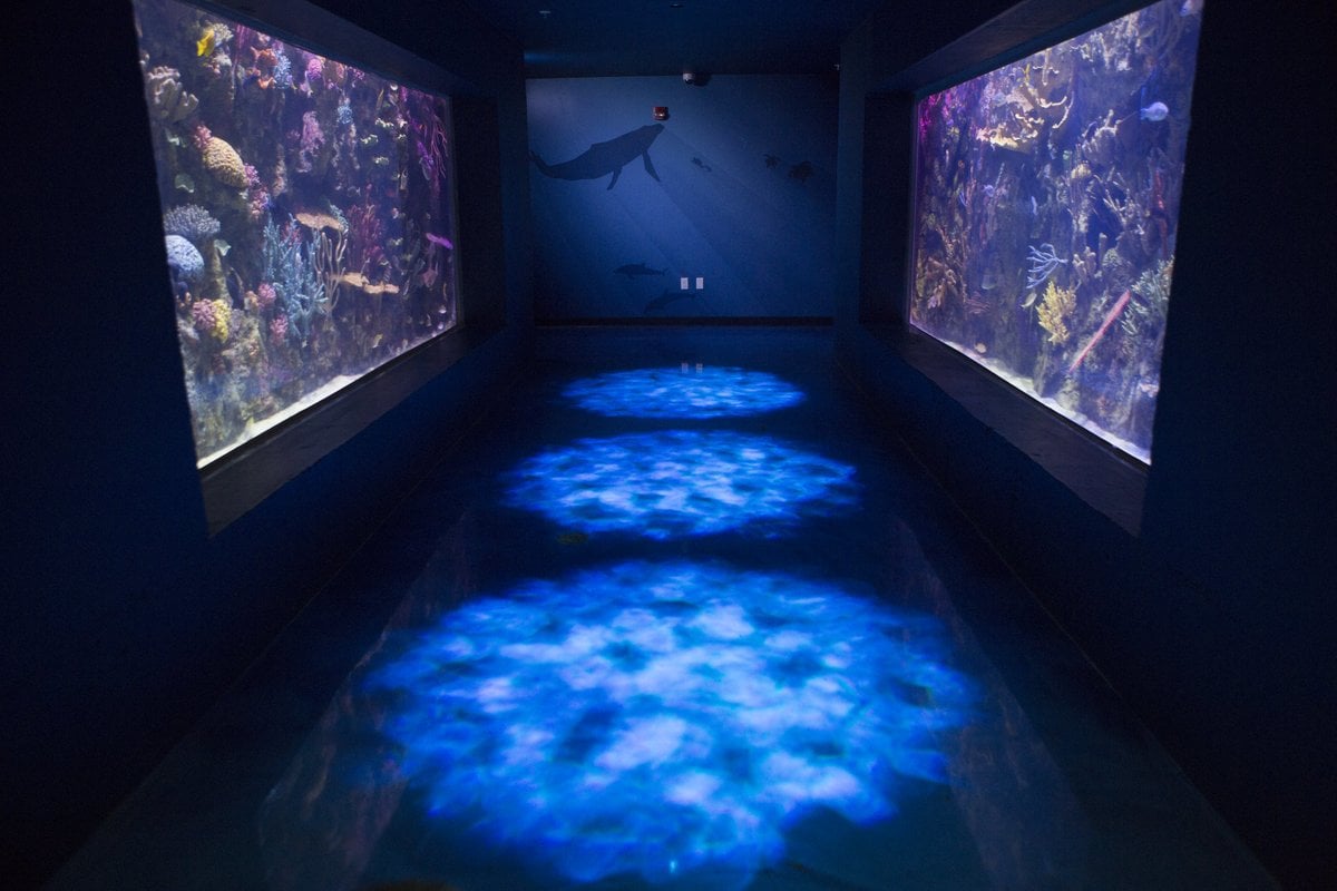 Shreveport Aquarium