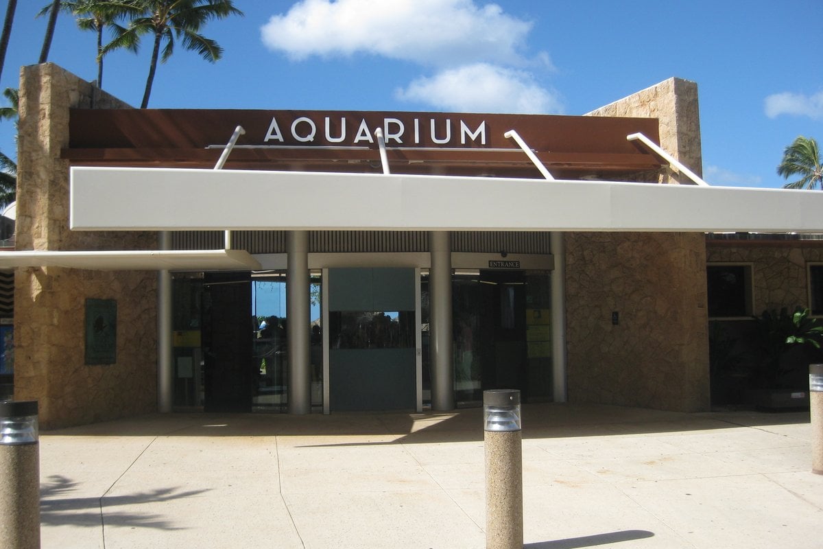 Waikiki Aquarium