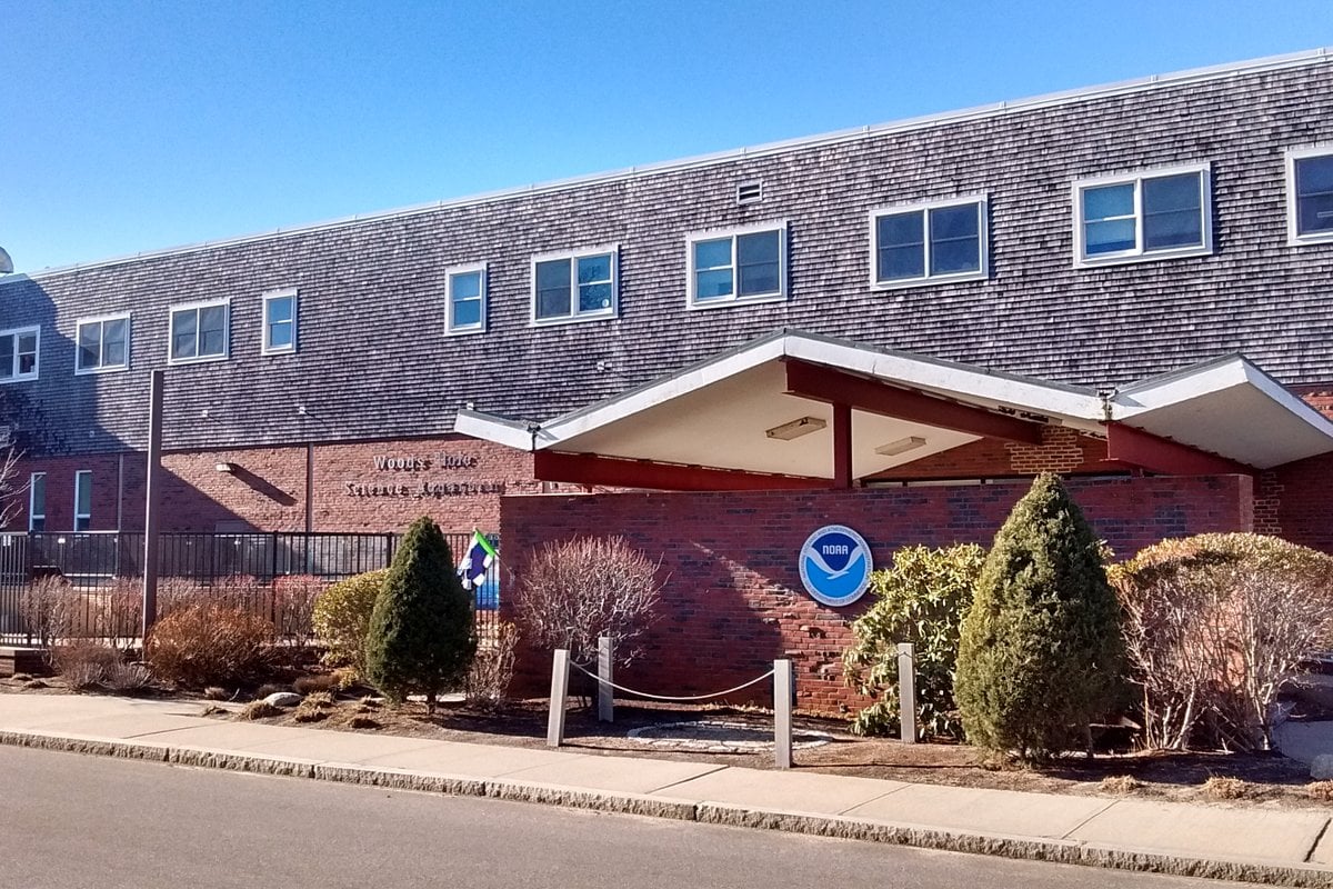 Woods Hole Science Aquarium